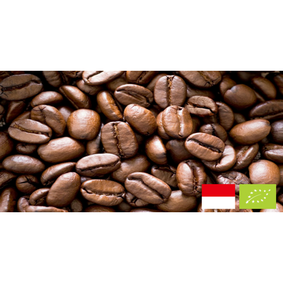 CAFE BIO DE SUMATRA MANDHELING GAYO - CORSÉ