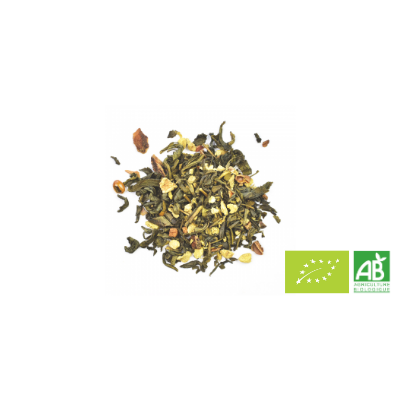 THÉ VERT BIO UN DES SENS GINGEMBRE CITRON