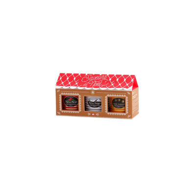BOITE DE THE DE NOEL COMPAGNIE COLONIALE